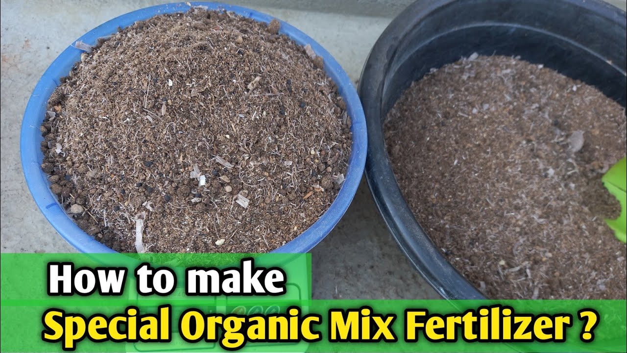 Garmi Mein Chemical Band! Yeh Organic Fertilizer Use Karo