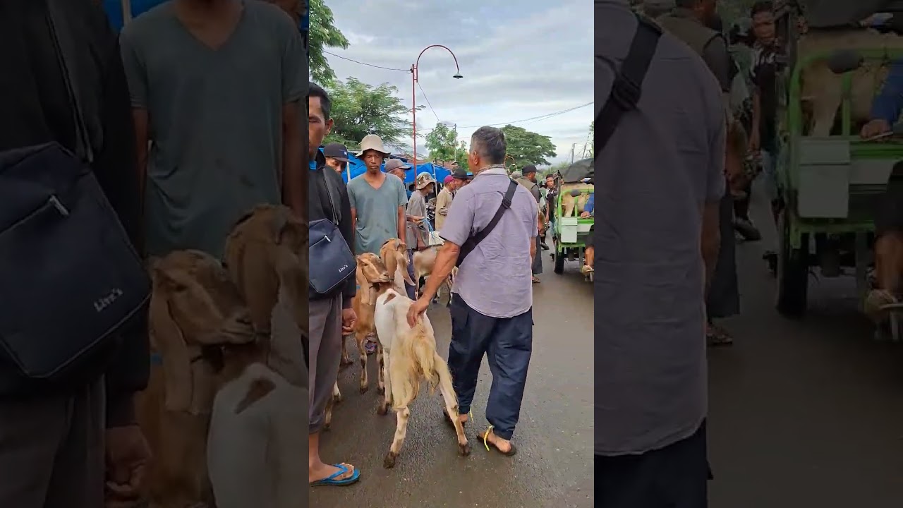 Pasar sumoroto ponorogo ruame dan banyak pilihan