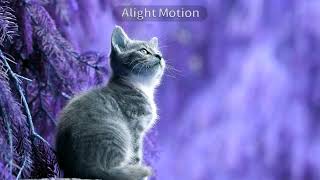 A cat effects (SBP2E)