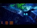 Peaceful Night Rain on Tin Roof | Frogs & Crickets Sounds for Meditation and Relaxation