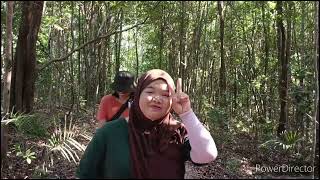 Download Lagu janda mandi kijal MP3 Download Lagu janda mandi kijal MP3
