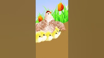 Một Chú Gà Con Như Cục Bông Tròn ♫ Nhạc thiếu nhi Đàn Gà Con Mới Nở  #nhacthieunhi