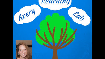 Introduction video for Avery Learning Lab