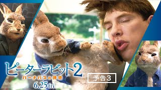 映画『ピーターラビット２／バーナバスの誘惑』予告３　6月25日 全国ロードショー