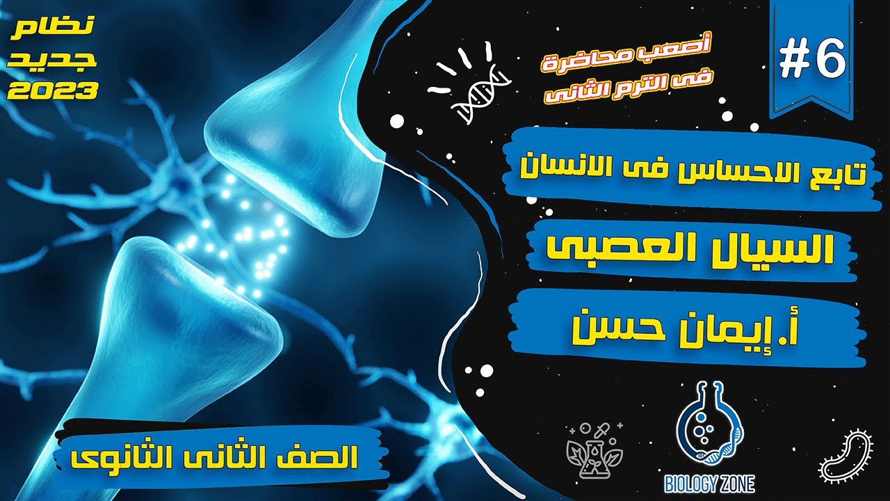 #6 | شرح تابع الاحساس فى الانسان ( السيال العصبى ) | احياء تانيه ثانوى الترم الثانى 2023 | إيمان حسن