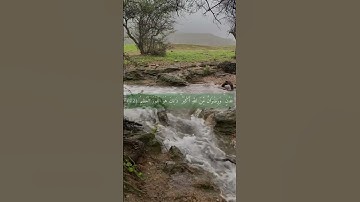 سورة التوبة من الأية ٧١ إلى ٧٢ بتلاوة القارئ الشيخ علي جابر رحمه الله💚.
