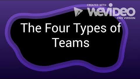 Groups and Teams: An Organizational Behavior Video