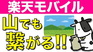 【検証】楽天モバイルは山の中で繋がるか試してみた結果…屋内圏外も調査【高尾山】
