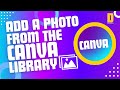 How to Add a Photo from The Canva Library to Your Design | @DesignSuccessLab