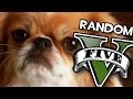 NUESTRA GRAN AMIGA FUFU | GTA V Random