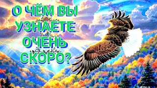 О ЧЁМ ВЫ УЗНАЕТЕ ОЧЕНЬ СКОРО?