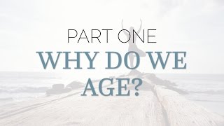 Understanding The Aging Process Net Worth