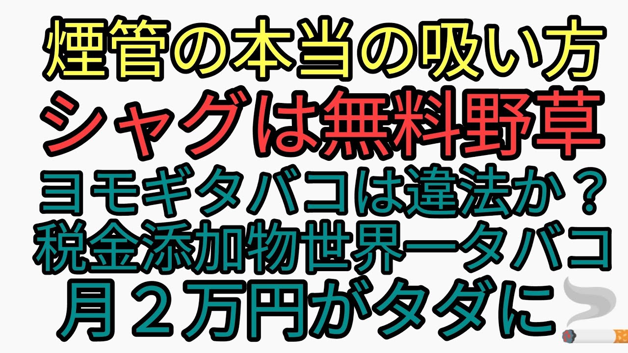 煙管の本当の吸い方 ヨモギタバコをキセルですうのは違法 禁止 税金添加物世界一のタバコ代月２万円が無料になった タバコをやめる方法 Youtube