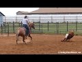 Nickie wood  working cows  valley view ranch