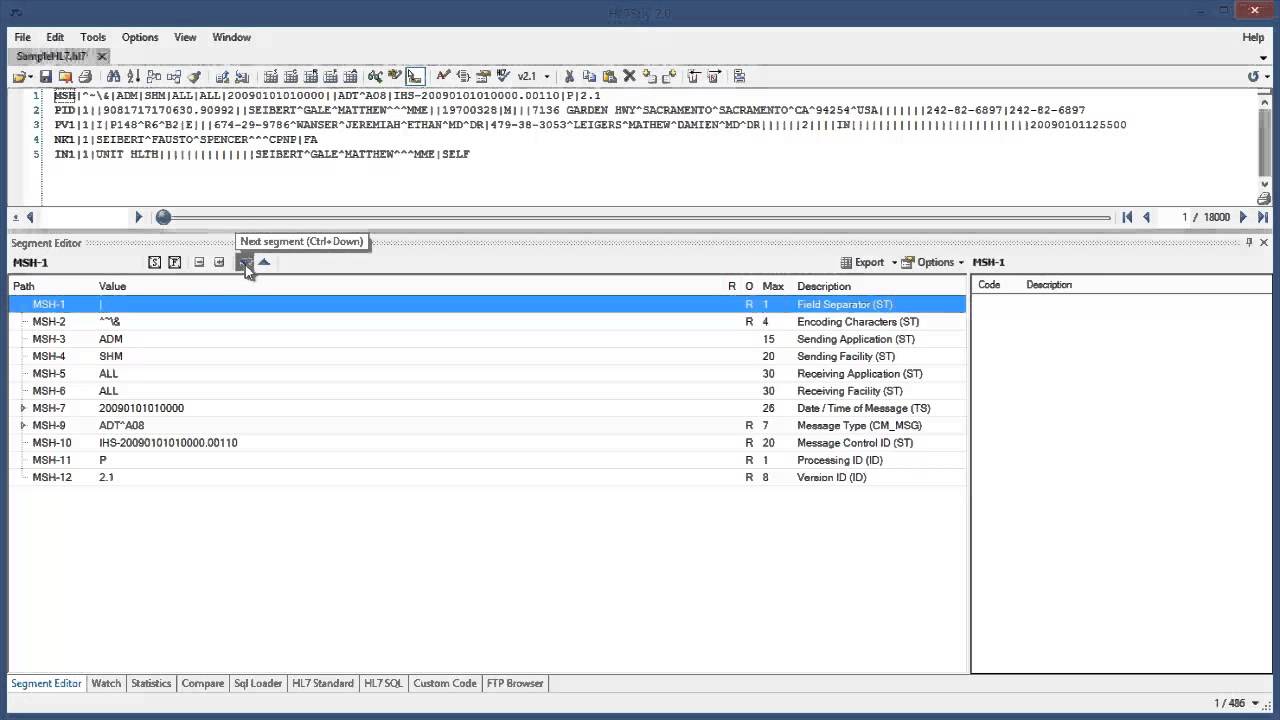 HL7Spy's Segment Editor