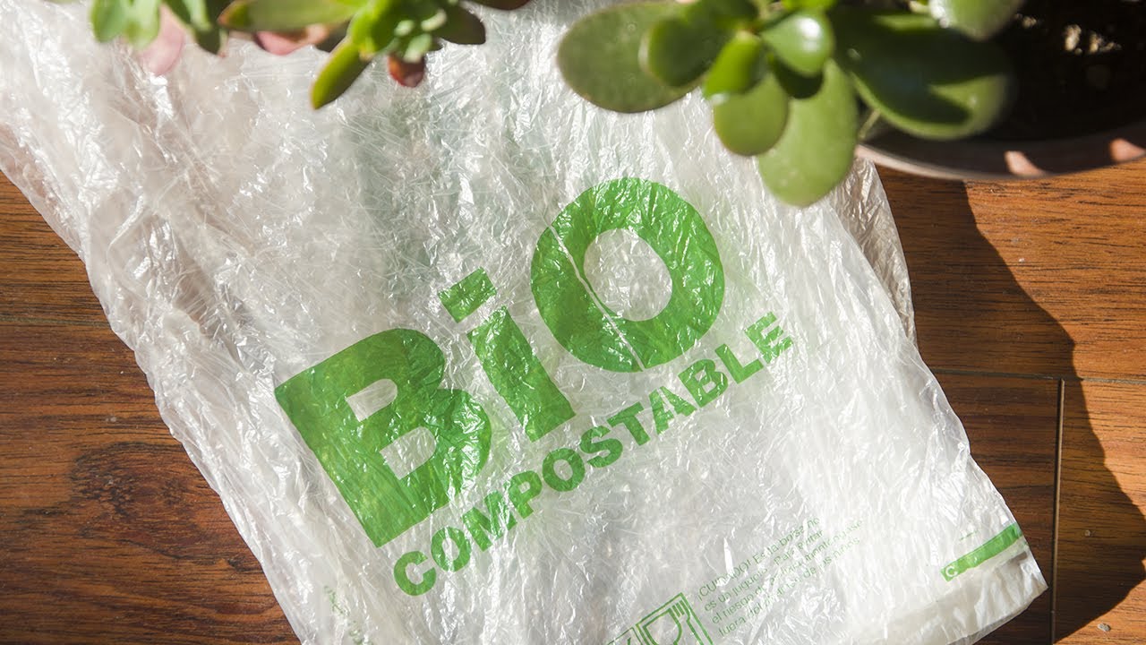bala transferencia de dinero repetición Ponemos a prueba las bolsas OK Compost Home - Vivir sin plástico