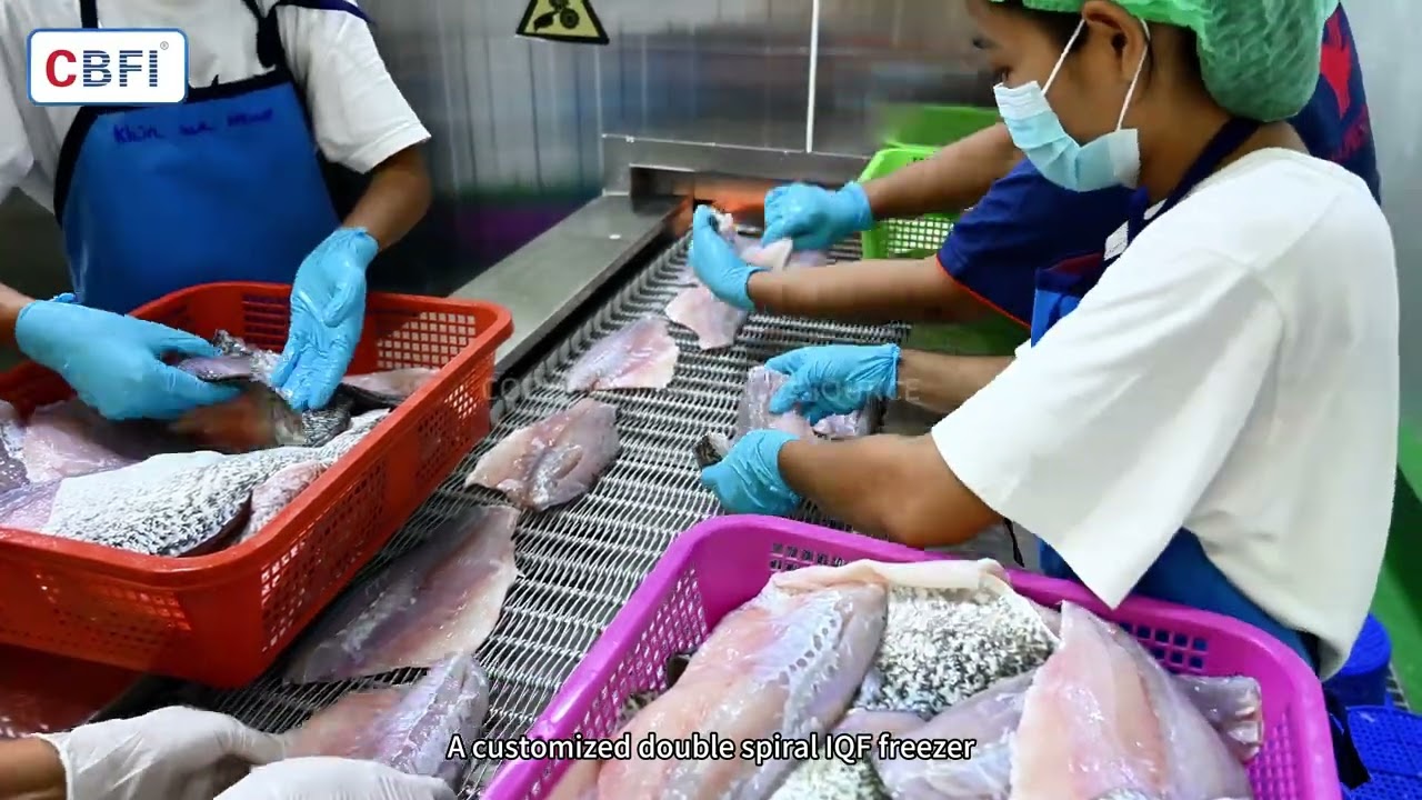 500kg/h Double Spiral IQF Freezer for Fish Fillet | Thailand Seafood Processing