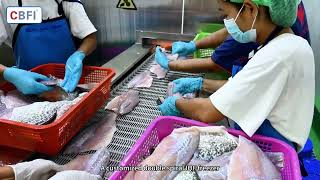 500Kgh Double Spiral Iqf Freezer For Fish Fillet Thailand Seafood Processing