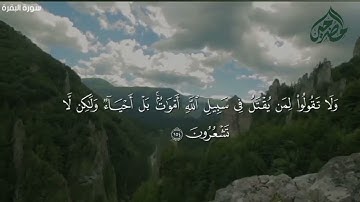 #تلاوة حجازية /بصوت نصيب المضرحي .
