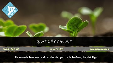 ما تيسر من سورة الرعد للقارئ بلال مواسي