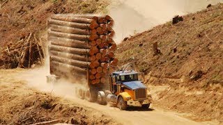Extreme Trucker !! Best Logging Truck Drivers Skill With Dangerous Extreme Fields