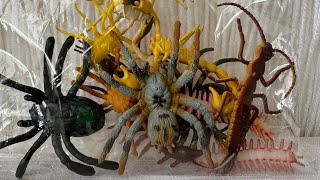 Spiders Scorpions centipede Animals ASMR unboxing