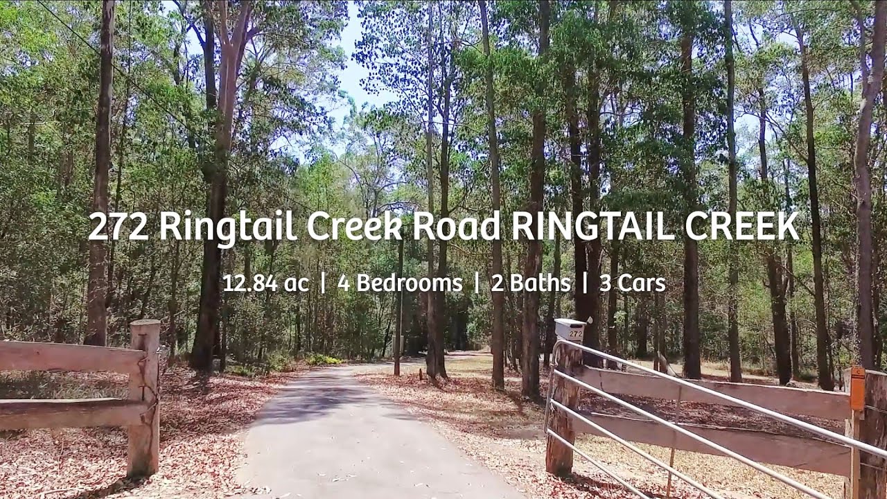 Raine & Horne Noosa Hinterland - 272 Ringtail Creek Road RINGTAIL CREEK