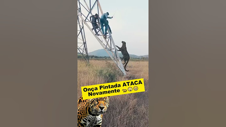 Perigo🙀na Fazenda! #oncapintada #onca #roça #agrorural  #animals #pecuaria #agronegócio #shortsvideo