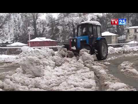 ქედაში გამოიდარა