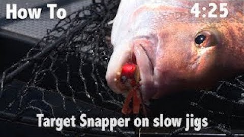 HOW TO TARGET SNAPPER ON SLOW JIGS
