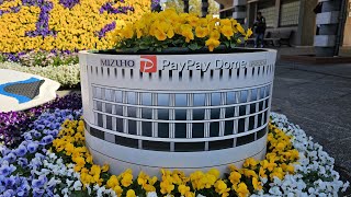 福岡ソフトバンクホークス春季キャンプ初日（2026 0201）