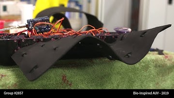 Sepiida: A Bio-Inspired AUV