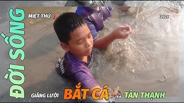 👉 Chiều về 📍 ĐÊ BAO BIÊN PHÒNG xã TÂN THẠNH ➸ GIĂNG LƯỚI BẮT CÁ cùng THANH THIẾU NIÊN MIỆT THỨ❗