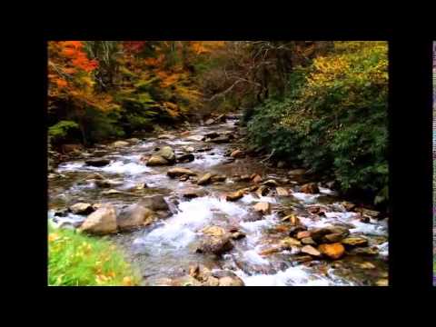 ძალიან ლამაზი ადგილას | საოცარი | 3