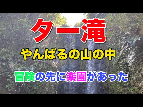 大宜味村の【ター滝】は冒険の先に楽園があった