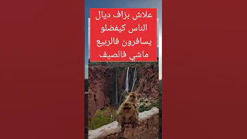 بزاف ديال الناس كيفضلو يسافرون فالربيع ماشي فالصيف 