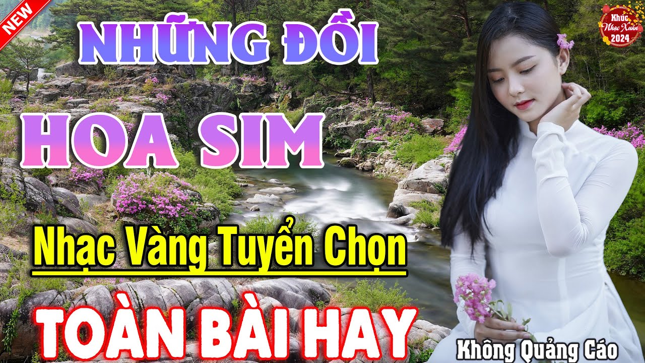 NHỮNG ĐỒI HOA SIM, NGOẠI Ô BUỒN ➤ LK Ca Nhạc Xưa TOÀN BÀI HAY Mới Ra Lò NGHE LÀ SAY MÊ 2024