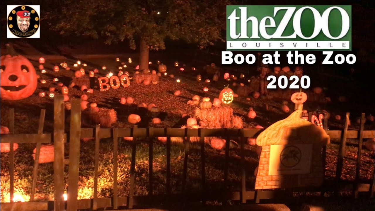 The Louisville Zoo Boo at the Zoo 2020 Walkthrough YouTube