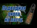 Подводная охота на ласту.