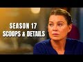 Grey's Anatomy season 17 Spoilers & Details Season 17 Updates So Far