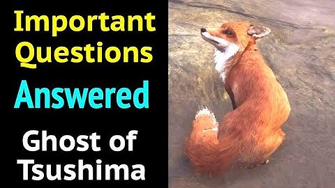 6 Important Questions Answered in Ghost of Tsushima