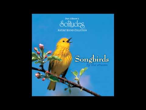 Songbirds By The Stream Dan Gibson Songbirds By The Stream Dan Gibson