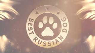 BEST RUSSIAN DOG 2019
