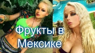 #VLOG - Фрукты (Манго и яблоки ) в Мексике - правильное питание – Полезно и вкусно #VLOG - Фрукты (Манго и яблоки ) в Мексике - правильное питание – Полезно и вкусно
