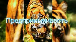 Год 2022 - год Тигра🐯Мелодия - Очень красивая 🎵🎶 музыка