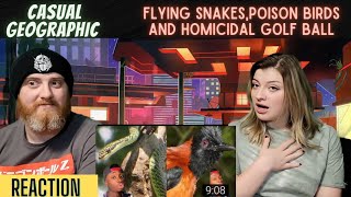 @mndiaye_97 Flying Snakes, Poison Birds and a Homicidal Golf Ball - HatGuy & Nikki react!
