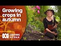 Why you should be planting your crops in autumn  gardening 101  gardening australia