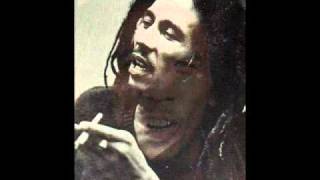 Bob Marley & The Wailers - Revolution (Live)