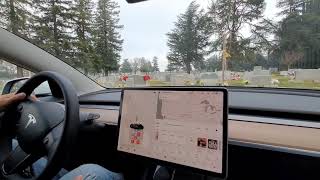 Famous Tesla Catches Ghosts At Cemetery (Tik-Tok Challenge) Wealth