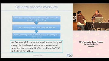DEF CON 16 Hacking Conference Presentation By SensePost - Pushing the Camel through needle - Video and Slides